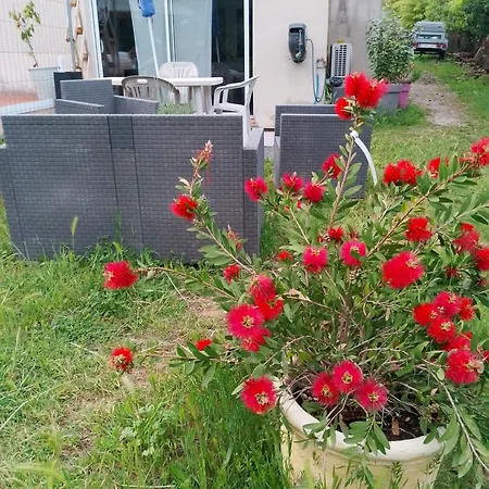 Entre Vignes Et Garrigue Appartement